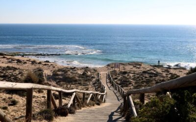 Guía Maestra: Consejos para comprar tu primera casa en la Costa Blanca (Edición 2026)